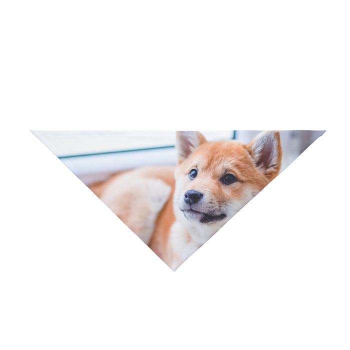 Personalised photo pet bandana